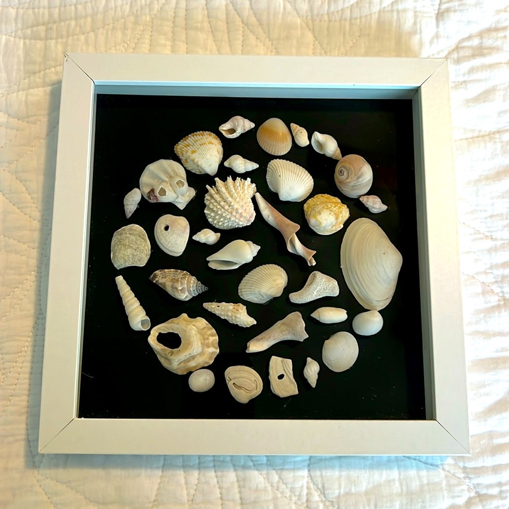 SEA SHELL ART